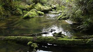 Tranquility at Bullock Creek [upl. by Akinimod]