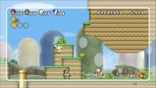 New Super Mario Bros Wii  World 13 Luigi Wins by Absolutely Doing Nothing [upl. by Gerek]