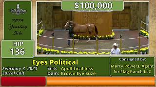 2024 Heritage Place Quarter Horse Yearling Sale Day One Hip 136 140000 Eyes Political [upl. by Sanson]