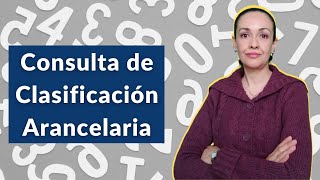 EPISODIO 005 Consulta de Clasificación Arancelaria [upl. by Ttayh476]