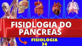 FISIOLOGIA DO PÂNCREAS ENDÓCRINO INSULINA E GLUCAGON  FISIOLOGIA HUMANA  FISIOLOGIA DE GUYTON [upl. by Alakim]