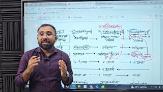 কর্ডাটা পার্ট২ Vertebrata ChondrichthyesActinopterygiiSarcopterygii শ্রেণীর বৈশিষ্ট্য সহজে [upl. by Uzzial]