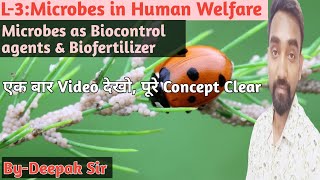 L3Microbes in Human WelfareMicrobes as Biocontrol AgentsBiofertilizersAphidsLady BirdBt12th [upl. by Francesco]