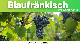 Discover Blaufränkisch for WSET Level 3 [upl. by Fransen]