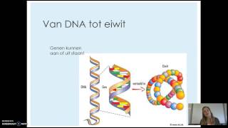 52 Chromosomen genen en eiwitten [upl. by Caddaric]