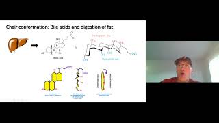 Lecture Video Ch4 23 Polycyclic compounds [upl. by Enyahs]