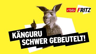 Ein Problem  Neues vom Känguru reloaded  MarcUwe Kling  KänguruChronikenStorys  BONUSFOLGE [upl. by Cost]