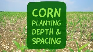 Corn Planting Depth and Spacing [upl. by Eissat]