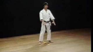 Shotokan Kata Kanku Dai  Kanazawa Hirokazu [upl. by Renraw]