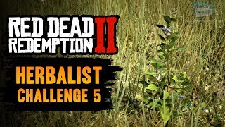 Red Dead Redemption 2 Herbalist Challenge 5 Guide  Craft 9 items using Indian Tobacco [upl. by Anik122]