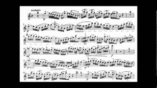 Bach JS violin concerto in A minor BWV 1041 [upl. by Sitoel]