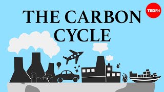 The carbon cycle  Nathaniel Manning [upl. by Lihp]