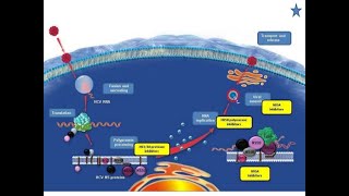 Direct Acting Antivirals [upl. by Doll]