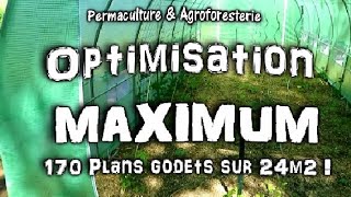 PERMACULTURE PLANTATIONS OPTIMISÉES DANS LA SERRE DU JARDIN POTAGER  MES ASTUCES MAI  JUIN [upl. by Ilanos]