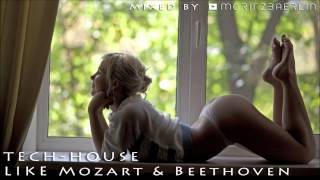 TECH HOUSE like MOZART amp BEETHOVEN  Mixtape 036 [upl. by Frazer]