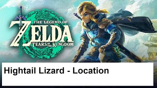 The Legend of Zelda Tears of the Kingdom  Hightail Lizard  Location [upl. by Ahsinrad]