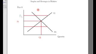 Kiwi Andy explains Surplus and Shortages in Markets Basic Economics [upl. by Sunda]