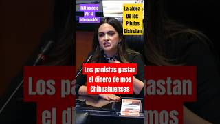 Andrea chávez exhibe a los panistas de Chihuahua por corrupción ultimahora [upl. by Izzy]