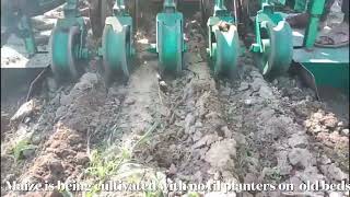 Sowing of corn with notill precision planter  spring 24 crop [upl. by Herrick]