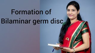 Formation of bilaminar germ disc and development of Blastocyst [upl. by Lilahk]