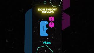 IGCSE biology 2025 Enzymes biologycurriculum [upl. by Jeraldine]