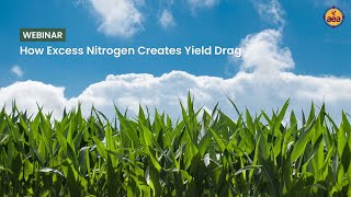 How Excess Nitrogen Creates Yield Drag  John Kempf and Advancing Eco Agriculture [upl. by Divadleahcim]