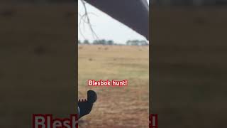 Blesbok hunt with 300 win mag [upl. by Sidonia]