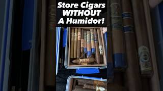 How to make a “Tupperdor” for cigar storage cigars cigarhumidor diy boveda [upl. by Sirdi]