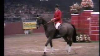 Gerd Wiltfang  Roman  226 m at Olympia 1980 [upl. by Ridinger]