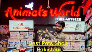 Animals World Pet Shop Pakistan Lahore  All Pet Food amp Accessories Available  Persian Cat Pakistan [upl. by Latisha]