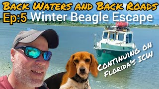 Ep5 Winter Beagle Escape  The Journey to St Augustine [upl. by Sosna]