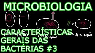 Aula Microbiologia Médica 6  Características Gerais das Bactérias 3 [upl. by Feinberg]