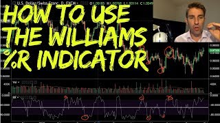 How to Use the Williams R Indicator 📈 [upl. by Atsylak]