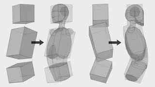 An EASY Method For Drawing The TORSO [upl. by Doggett]