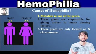 Hemophilia  Causes  Symptoms and Lab Diagnosis [upl. by Yrdnal827]