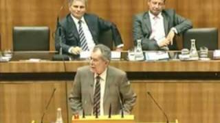 Alexander van der Bellen in der 19 Nationalratssitzung [upl. by Saile]