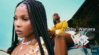 Zuchu Wanjera ft Diamond platnumz official music video [upl. by Enaile]