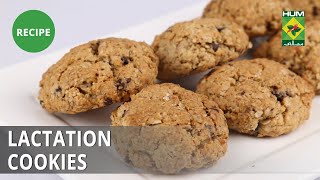 Lactation Cookies Recipe  Food Diaries  Zarnak Sidhwa  Dessert [upl. by Asertal]