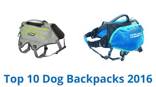 10 Best Dog Backpacks 2016 [upl. by Elo]