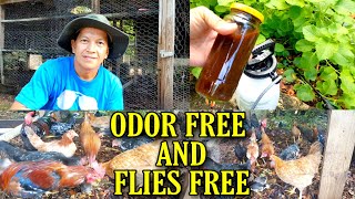 How to avoid smelly chicken coop odor and flies freePaano maiwasan ang maamoy kulungan ng chickens [upl. by Nehgam]