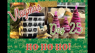 Vlogmas 2023 Day 25 [upl. by Aciras]