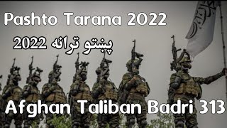 Pashto Tarana 2022 Afghan Taliban Badri 313 [upl. by Aimit216]