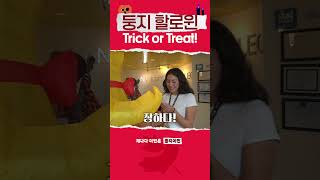 해피 둥지 할로윈피 둥지 할로윈👻👻Trick or Treat [upl. by Charo]