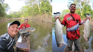 Pesca de bagre palometa y payara con anzuelo en San José del Guaviare Colombia [upl. by Asilrac515]