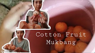 Santol Mukbang  Craving Satisfied  Ate Nai Daily Life Vlog [upl. by Oirevlis]