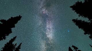 Starscapes 4K Space Music for Relaxation Sleeping or Inspiration  Galactic Forest  Timelapse [upl. by Oileve]