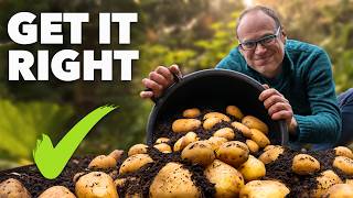 Potato Growing Masterclass My Tips for a Bigger Better Harvest [upl. by Niven]