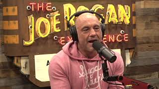 Joe Rogan Experience 2101  Bret Weinstein [upl. by Ileak]