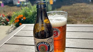 Saturday Afternoon Beer Review with the Barrister Paulaner Oktoberfest beerreview guitar fyp [upl. by Chlo]