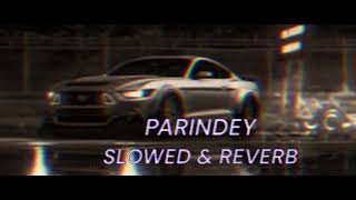 PARINDEY SLOWED amp REVERB SONG [upl. by Kermie]